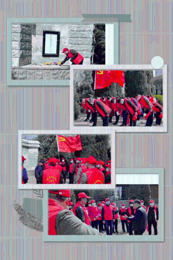 种植西瓜用什么肥料最佳