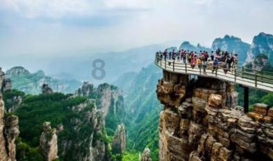 探寻杀死一只蝴蝶犯法吗?,畅聊天涯问题答案