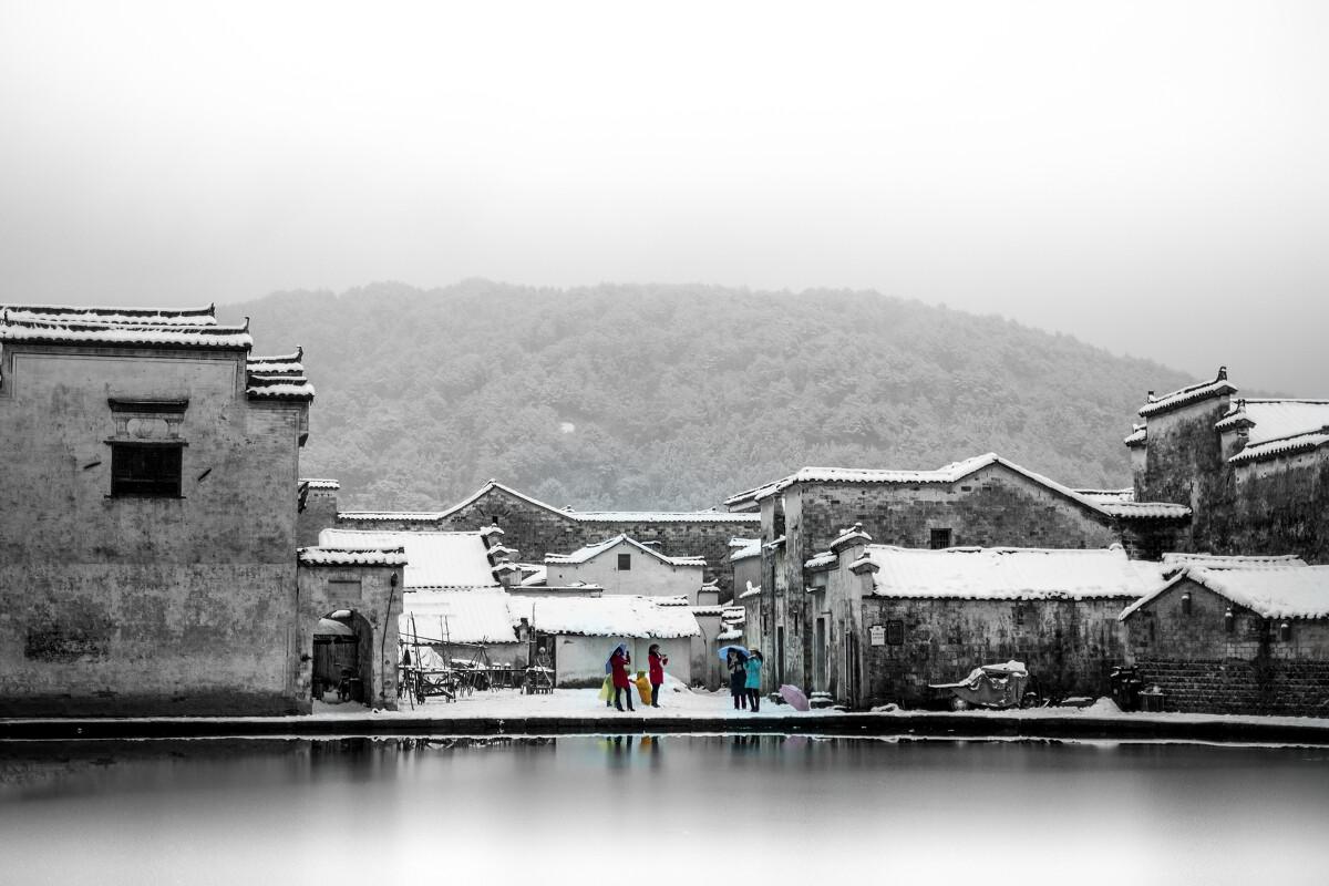 机智问答网页-解决疑问的青椒肉丝怎么做?平台