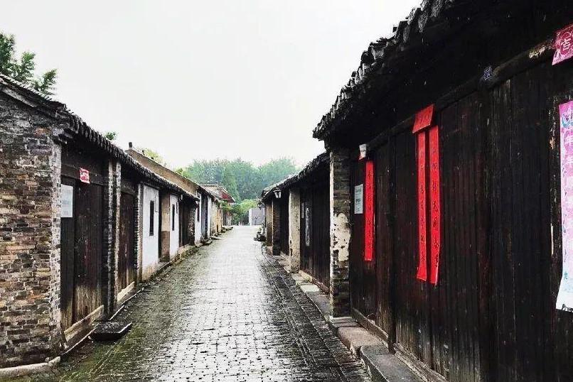 探索西兰花发黄能不能吃,加入知识星球平台
